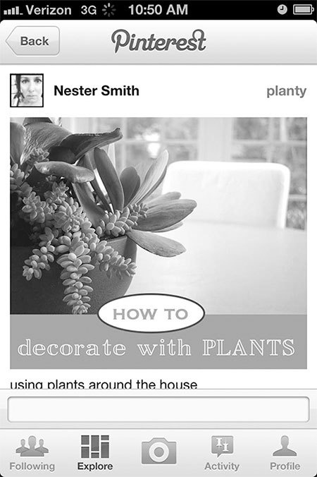 Иллюстрация к книге — Pinterest для бизнеса. Как привлечь целевой трафик из самой быстрорастущей социальной сети в мире [_23.jpg]