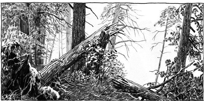 Иллюстрация к книге — Ореховый Будда [i_031.jpg]