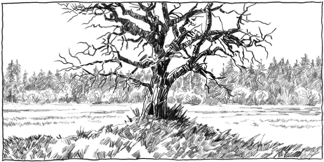 Иллюстрация к книге — Ореховый Будда [i_036.jpg]