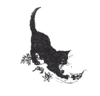 Иллюстрация к книге — Мэри и ведьмин цветок [i_001.jpg]