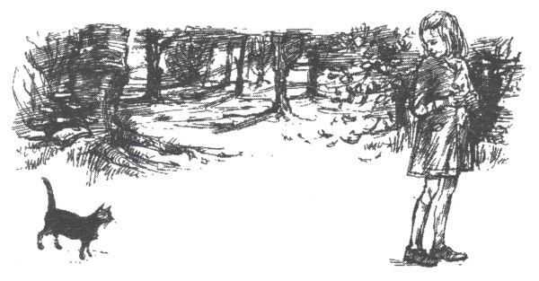 Иллюстрация к книге — Мэри и ведьмин цветок [i_004.jpg]