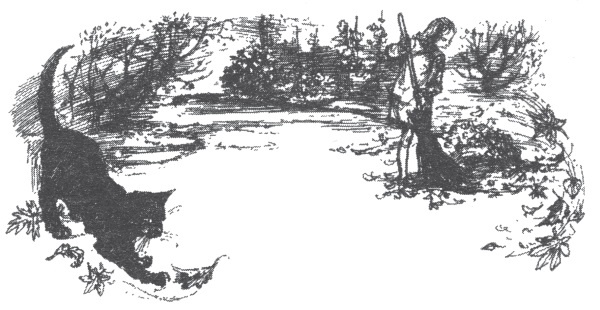 Иллюстрация к книге — Мэри и ведьмин цветок [i_005.jpg]