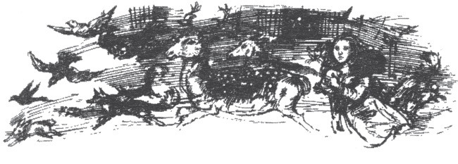 Иллюстрация к книге — Мэри и ведьмин цветок [i_012.jpg]