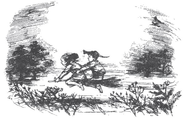 Иллюстрация к книге — Мэри и ведьмин цветок [i_014.jpg]