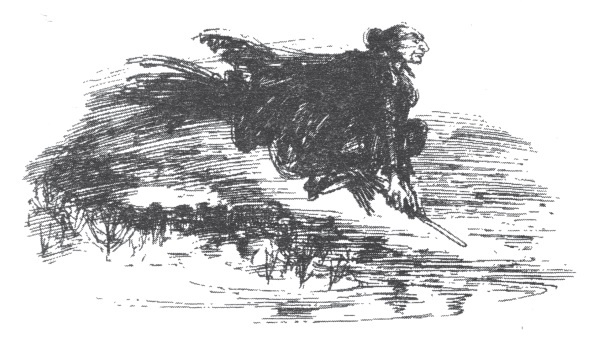 Иллюстрация к книге — Мэри и ведьмин цветок [i_016.jpg]