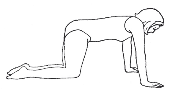 Иллюстрация к книге — Стрельникова, Вилунас, Бутейко. Лучшие дыхательные практики для здоровья! [i_058.jpg]