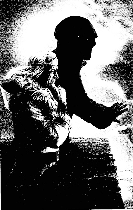 Иллюстрация к книге — Половинка [i_001.jpg]