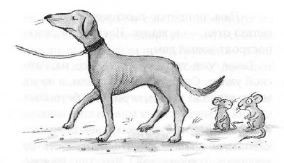 Иллюстрация к книге — Мышонок-путешественник [i_008.jpg]