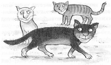 Иллюстрация к книге — Мышонок-путешественник [i_021.jpg]