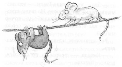 Иллюстрация к книге — Мышонок-путешественник [i_026.jpg]