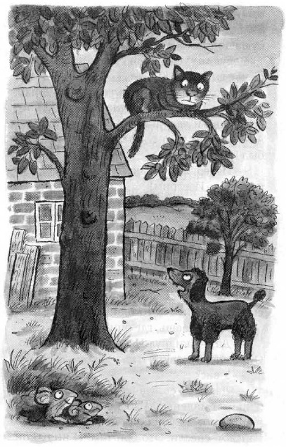 Иллюстрация к книге — Мышонок-путешественник [i_038.jpg]