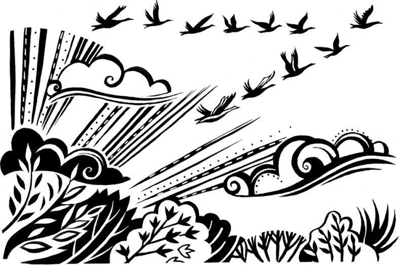 Иллюстрация к книге — Мальчик из джунглей [i_001.jpg]