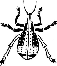 Иллюстрация к книге — Мальчик из джунглей [i_004.jpg]