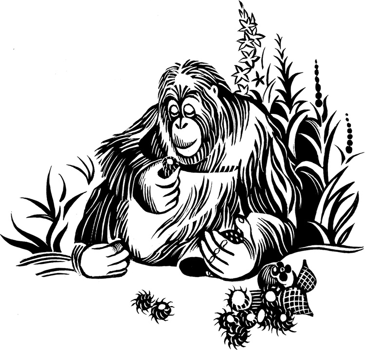 Иллюстрация к книге — Мальчик из джунглей [i_014.jpg]