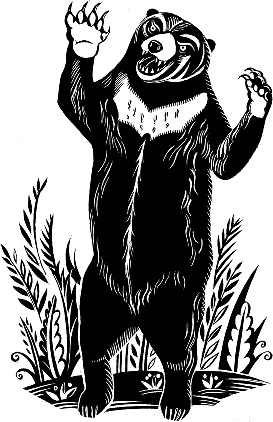 Иллюстрация к книге — Мальчик из джунглей [i_018.jpg]