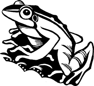 Иллюстрация к книге — Мальчик из джунглей [i_019.jpg]