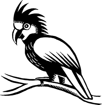 Иллюстрация к книге — Мальчик из джунглей [i_021.jpg]