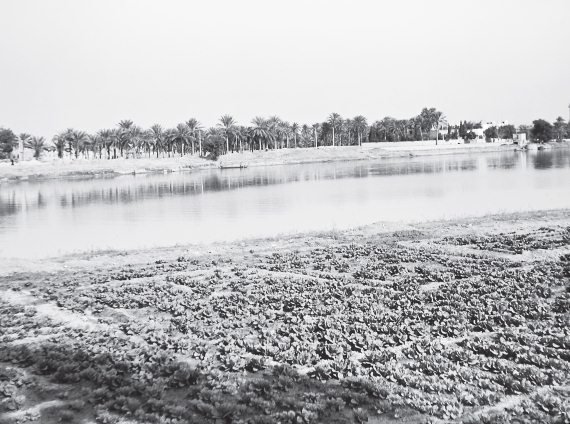 Иллюстрация к книге — Шумер. Вавилон. Ассирия: 5000 лет истории [i_003.jpg]