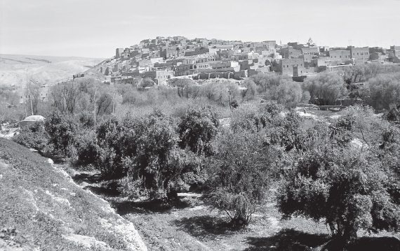 Иллюстрация к книге — Шумер. Вавилон. Ассирия: 5000 лет истории [i_148.jpg]