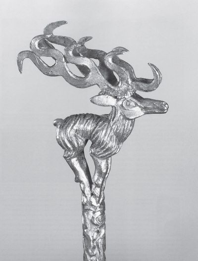 Иллюстрация к книге — Скифы: расцвет и падение великого царства [i_001.jpg]