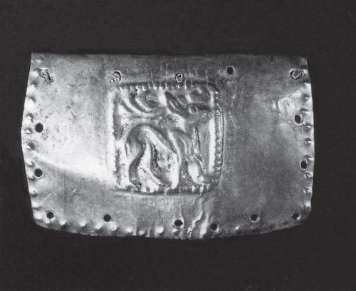 Иллюстрация к книге — Скифы: расцвет и падение великого царства [i_036.jpg]