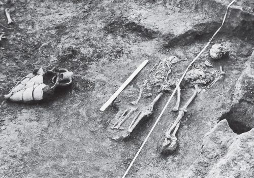 Иллюстрация к книге — Скифы: расцвет и падение великого царства [i_048.jpg]