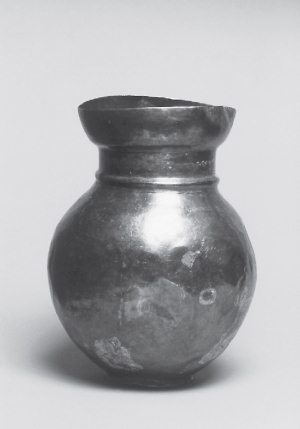 Иллюстрация к книге — Скифы: расцвет и падение великого царства [i_050.jpg]