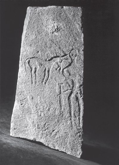 Иллюстрация к книге — Скифы: расцвет и падение великого царства [i_148.jpg]