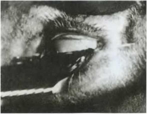 Иллюстрация к книге — Повседневная жизнь сюрреалистов. 1917-1932 [i_061.jpg]