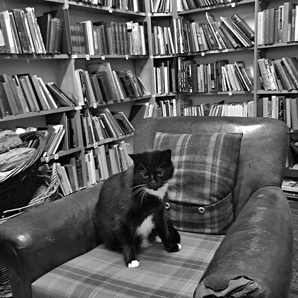 Иллюстрация к книге — Дневник книготорговца [i_005.jpg]