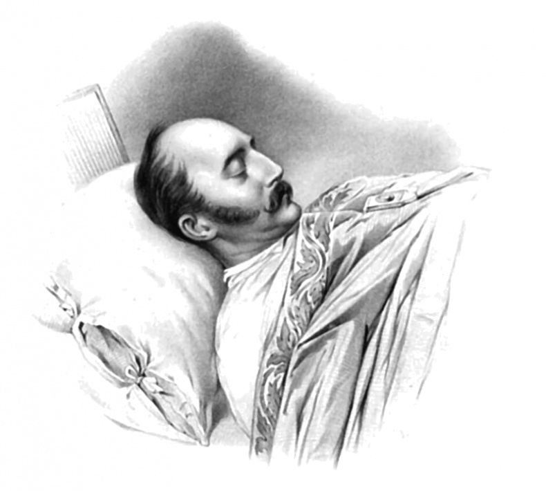 Иллюстрация к книге — Девушки на выданье. Бал дебютанток [_35.jpg]