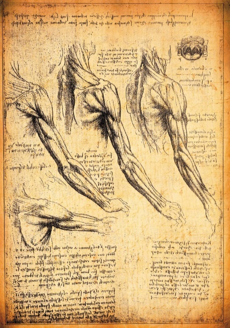 Иллюстрация к книге — Все герои мировой истории [i_291.jpg]