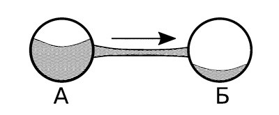 Иллюстрация к книге — Либидо с кукушкой. Психоанализ для избранных [i_009.jpg]