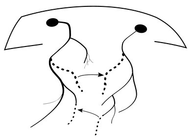 Иллюстрация к книге — Либидо с кукушкой. Психоанализ для избранных [i_044.jpg]