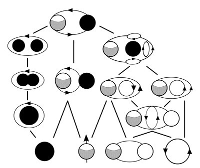 Иллюстрация к книге — Либидо с кукушкой. Психоанализ для избранных [i_049.jpg]