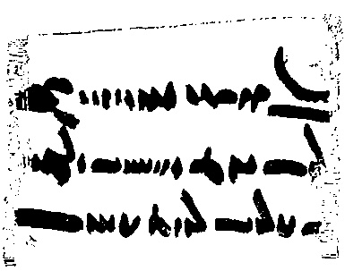 Иллюстрация к книге — В поисках Библии. Тайны древних манускриптов [i_011.jpg]