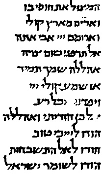 Иллюстрация к книге — В поисках Библии. Тайны древних манускриптов [i_024.jpg]