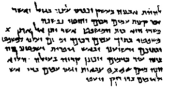 Иллюстрация к книге — В поисках Библии. Тайны древних манускриптов [i_025.jpg]