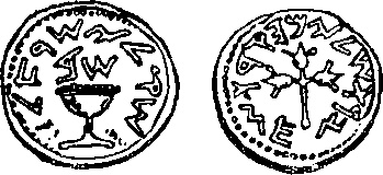 Иллюстрация к книге — В поисках Библии. Тайны древних манускриптов [i_027.jpg]