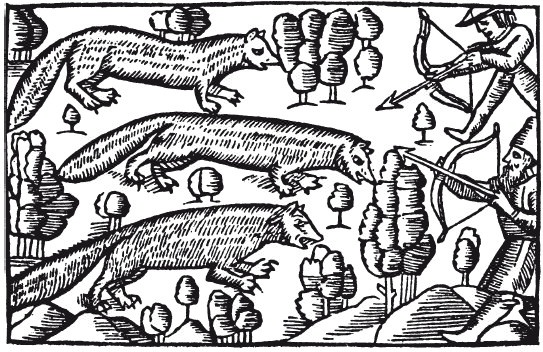 Иллюстрация к книге — Викинги. Потомки Одина и Тора [i_050.jpg]