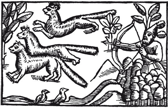 Иллюстрация к книге — Викинги. Потомки Одина и Тора [i_051.jpg]