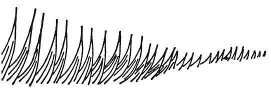 Иллюстрация к книге — Викинги. Потомки Одина и Тора [i_076.jpg]