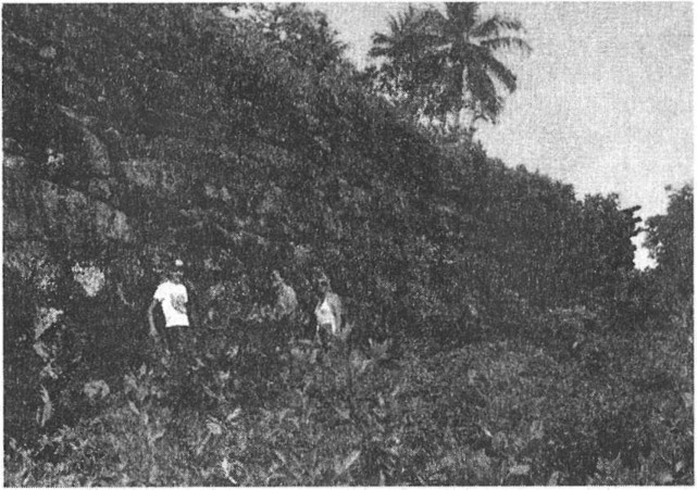 Иллюстрация к книге — Предки богов. Затерянная цивилизация Лемурии [i_004.jpg]