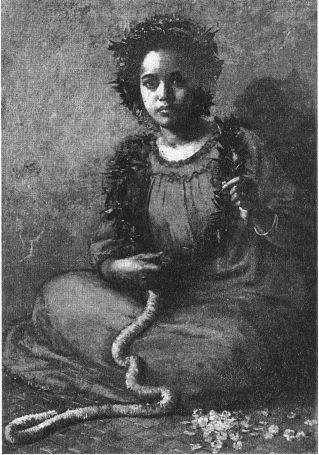 Иллюстрация к книге — Предки богов. Затерянная цивилизация Лемурии [i_009.jpg]