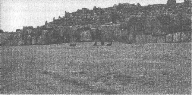 Иллюстрация к книге — Предки богов. Затерянная цивилизация Лемурии [i_017.jpg]