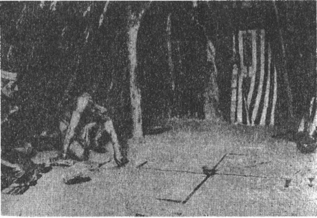 Иллюстрация к книге — Предки богов. Затерянная цивилизация Лемурии [i_020.jpg]