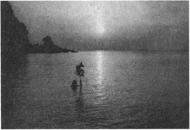 Иллюстрация к книге — Предки богов. Затерянная цивилизация Лемурии [i_028.jpg]