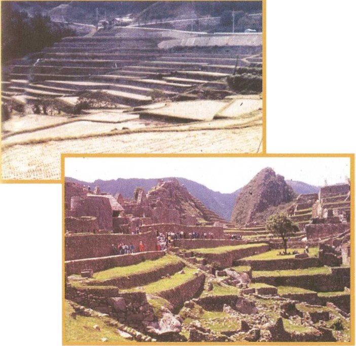 Иллюстрация к книге — Предки богов. Затерянная цивилизация Лемурии [i_043.jpg]