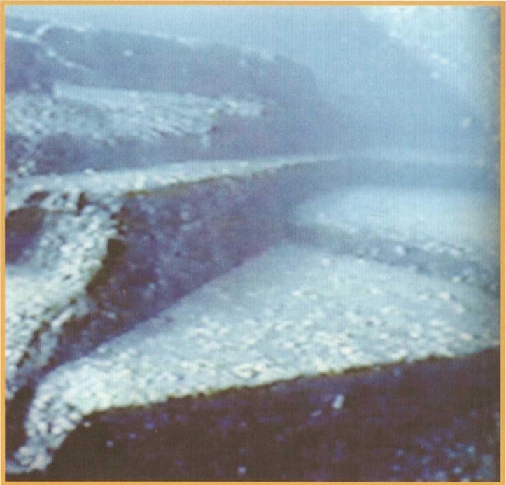 Иллюстрация к книге — Предки богов. Затерянная цивилизация Лемурии [i_047.jpg]