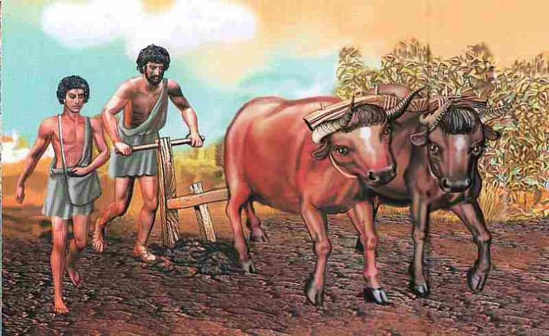 Иллюстрация к книге — Древняя Греция [i_036.jpg]